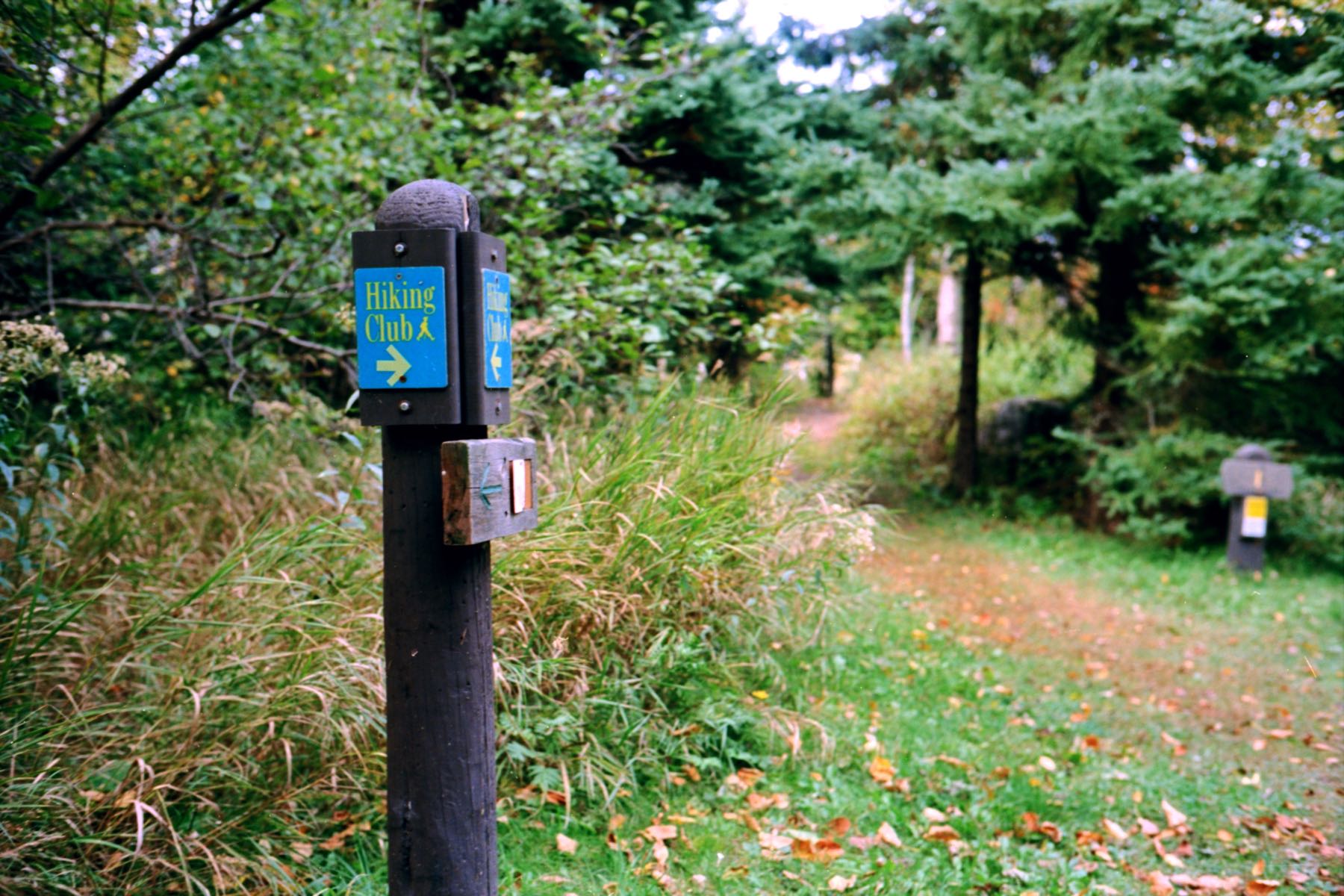 Hiking trail at Split Rock State Park
