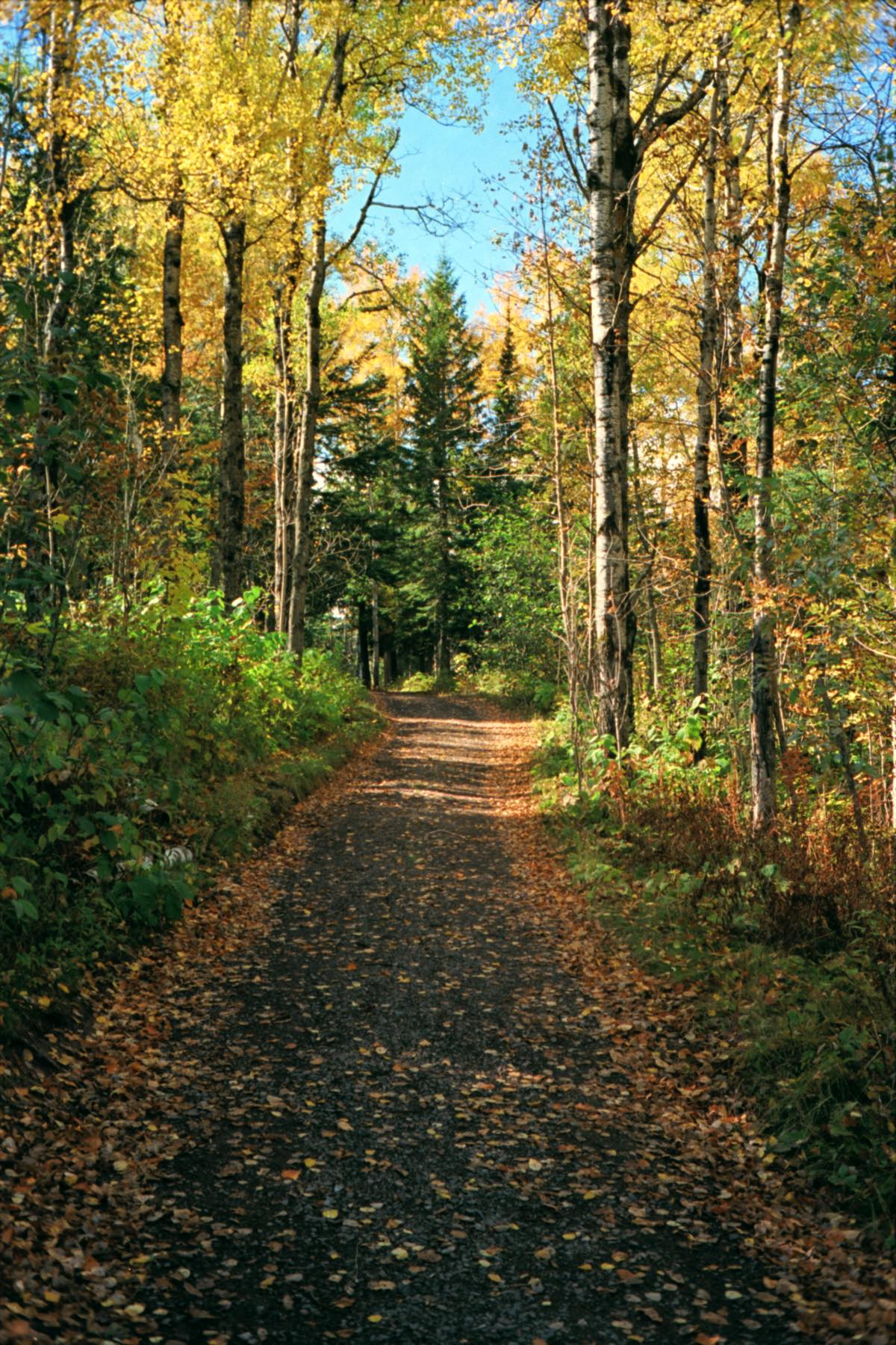 Gooseberry Falls State Park