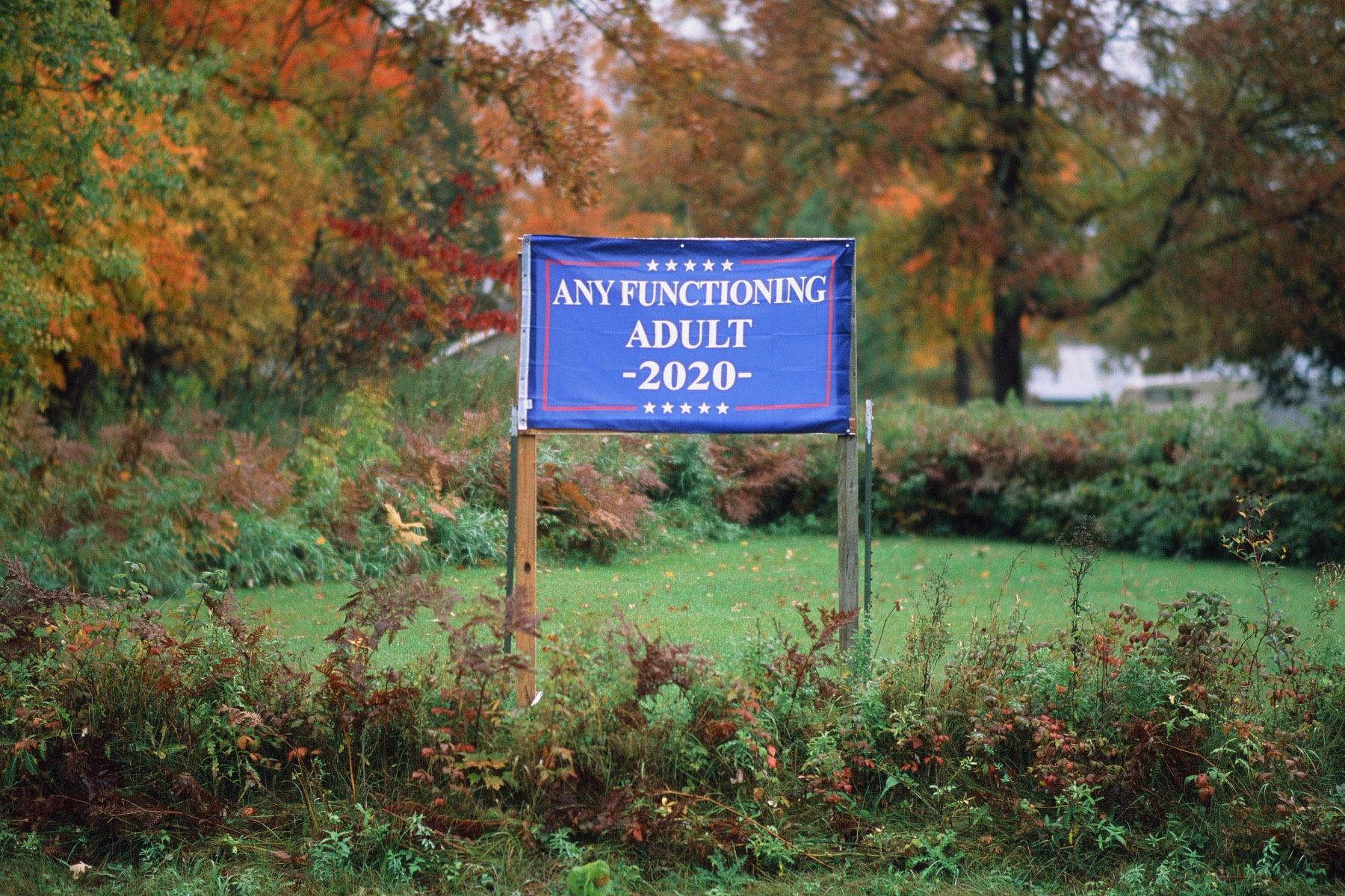 Any functioning adult 2020 yard sign