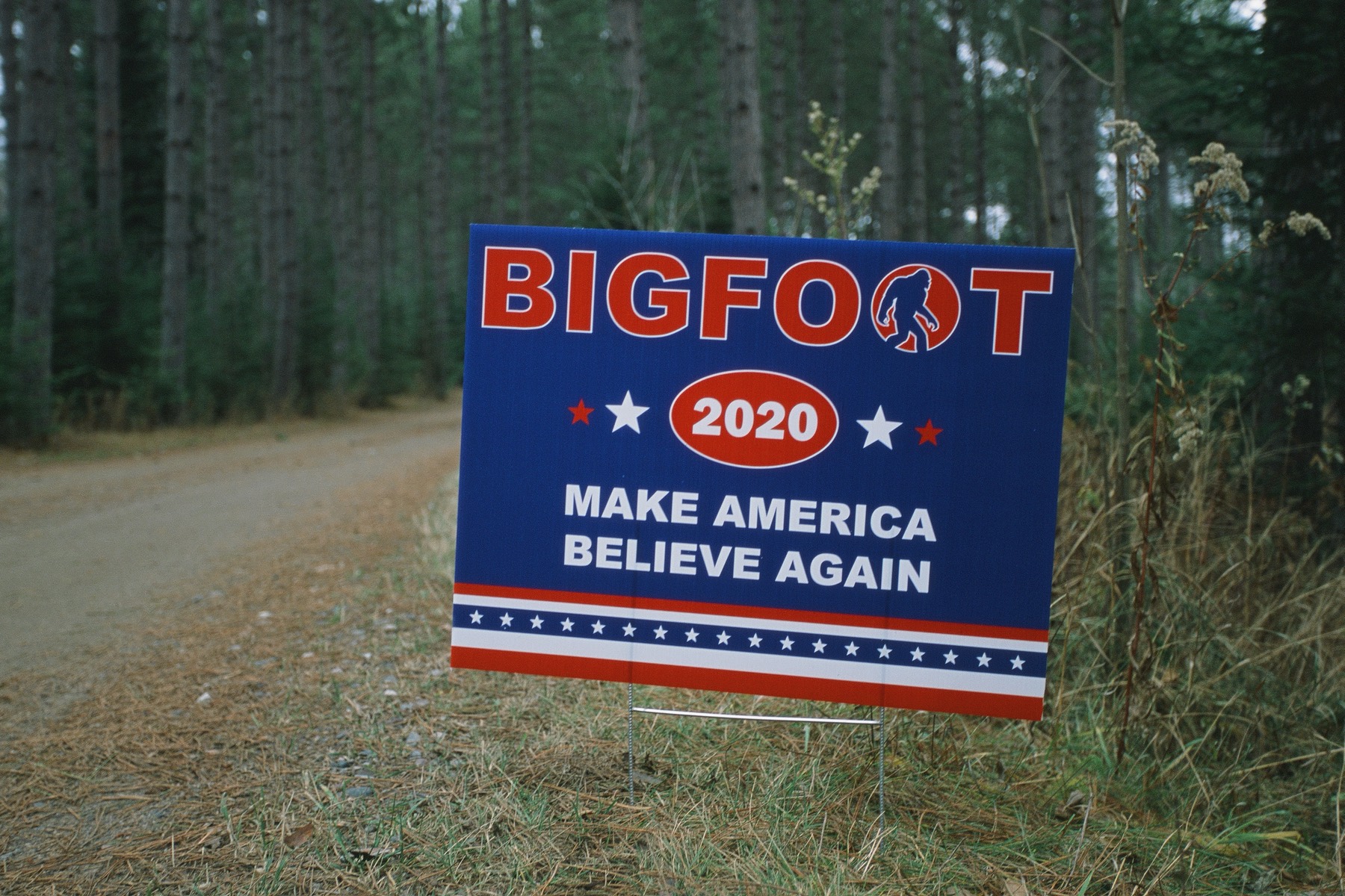 Bigfoot for President. Make America believe again. 2020. Yard sign.