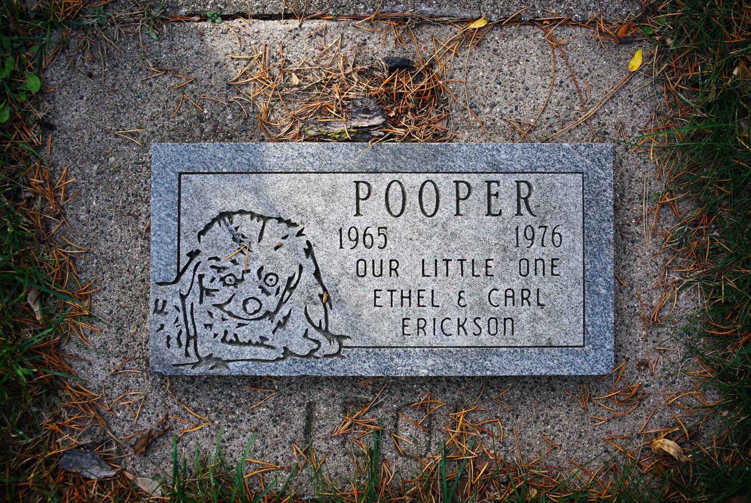 Memorial Pet Cemetery in Roseville, Minnesota